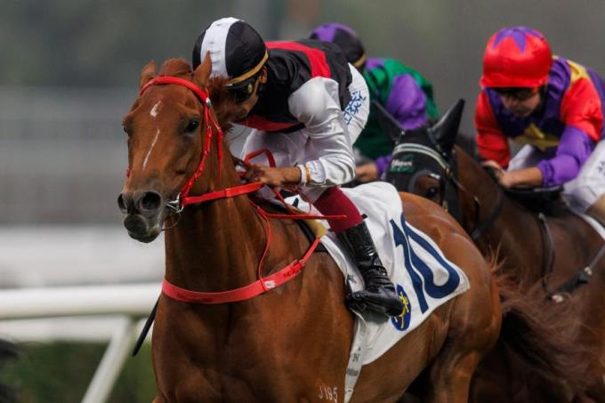 Hong Kong Racing An Exciting Day at Sha Tin