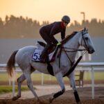 Exciting Wrap-Up to Dubai Racing Carnival 2025 | Pre-World Cup